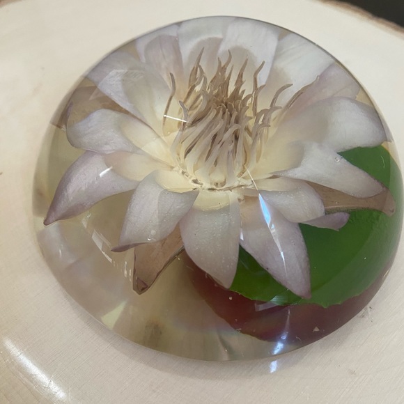 Vintage Lucite Dried Flower Domed Desk Paperweight Clear Plastic Acrylic Decor - Picture 3 of 14